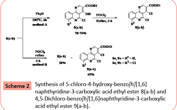 organic-inorganic-naphthyridine-carboxylic